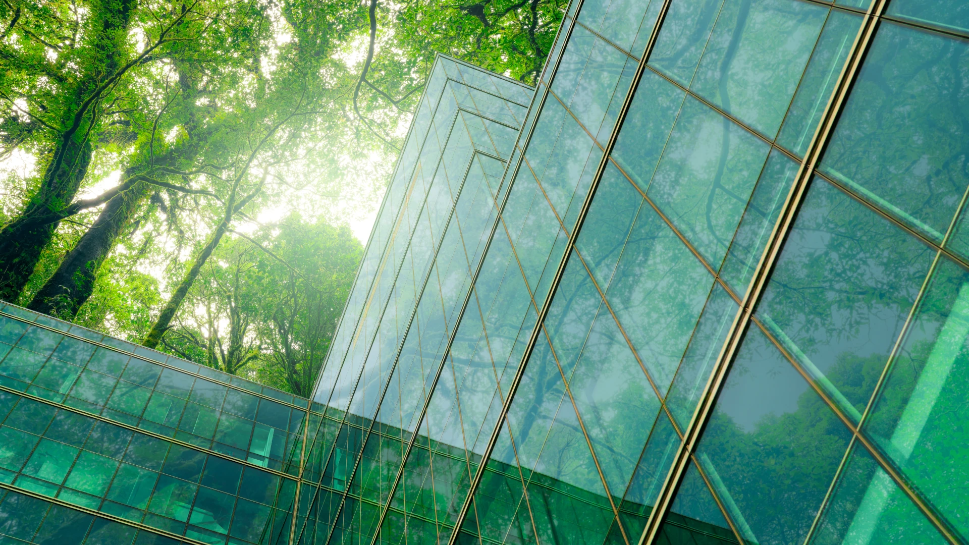 Sustainability and Green Building Materials in 2026: A Contractor’s Guide